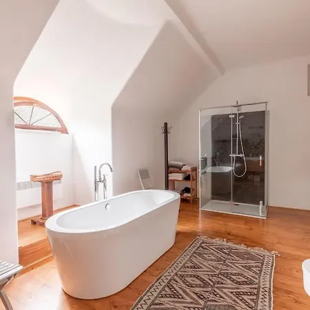 18 Century Bohemian *